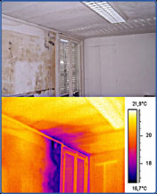 Infrared Scan.jpg